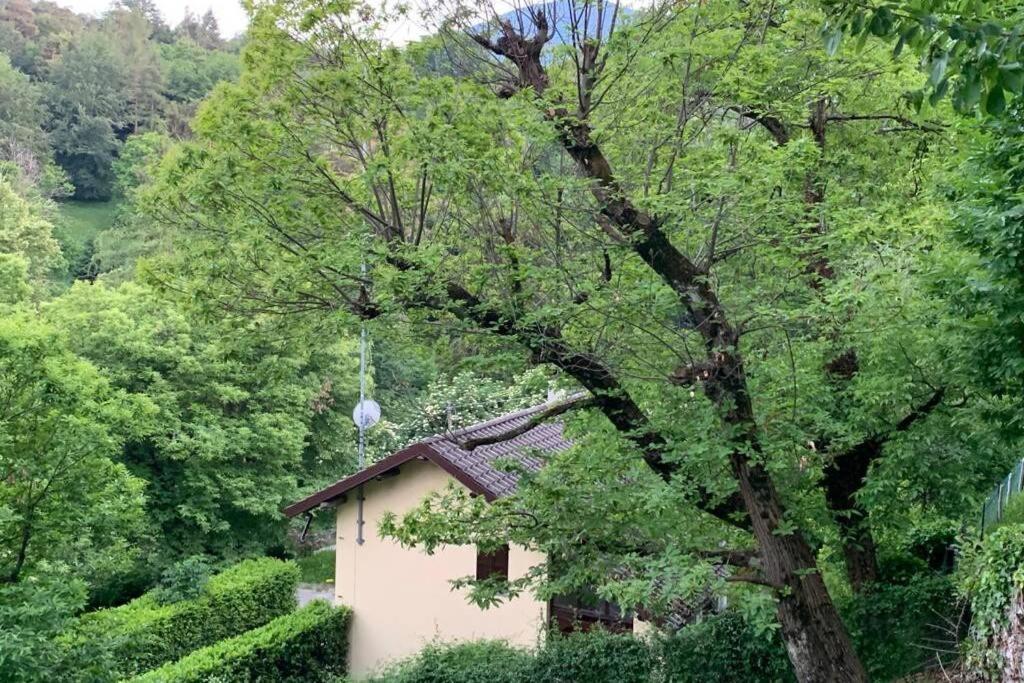 Traditional Villa Bellagio San Primo Lake Como Bagian luar foto